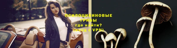 гидропоника Баксан
