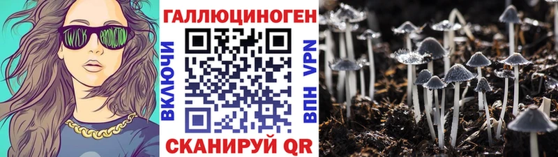 Галлюциногенные грибы мухоморы  Высоковск 