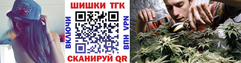Конопля гибрид  Высоковск 
